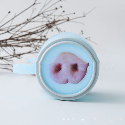 Sticker Pig-Nose-Cat Funny Best Friend