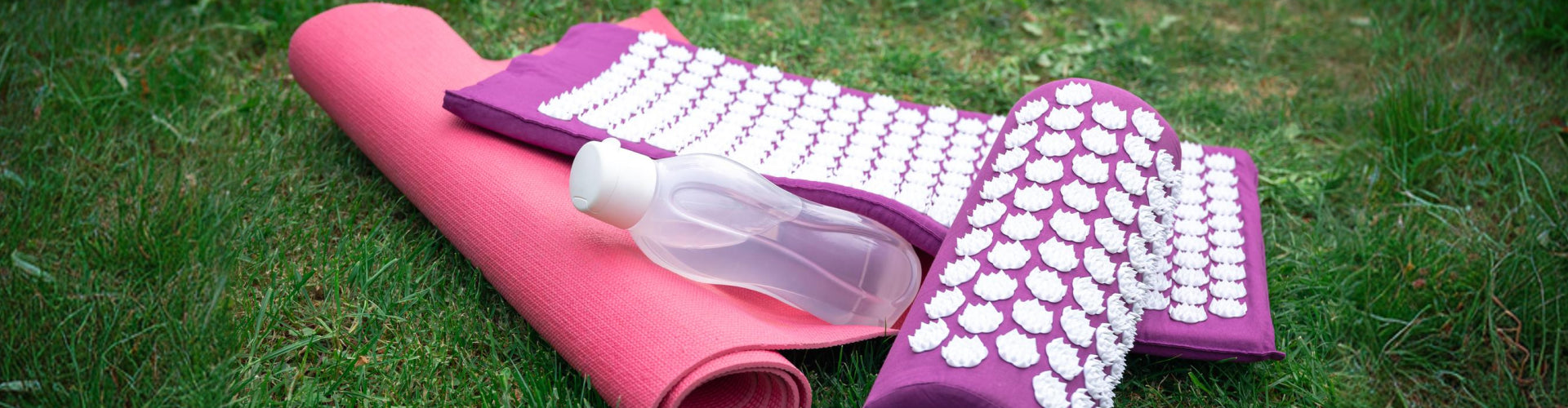 Health and Wellness