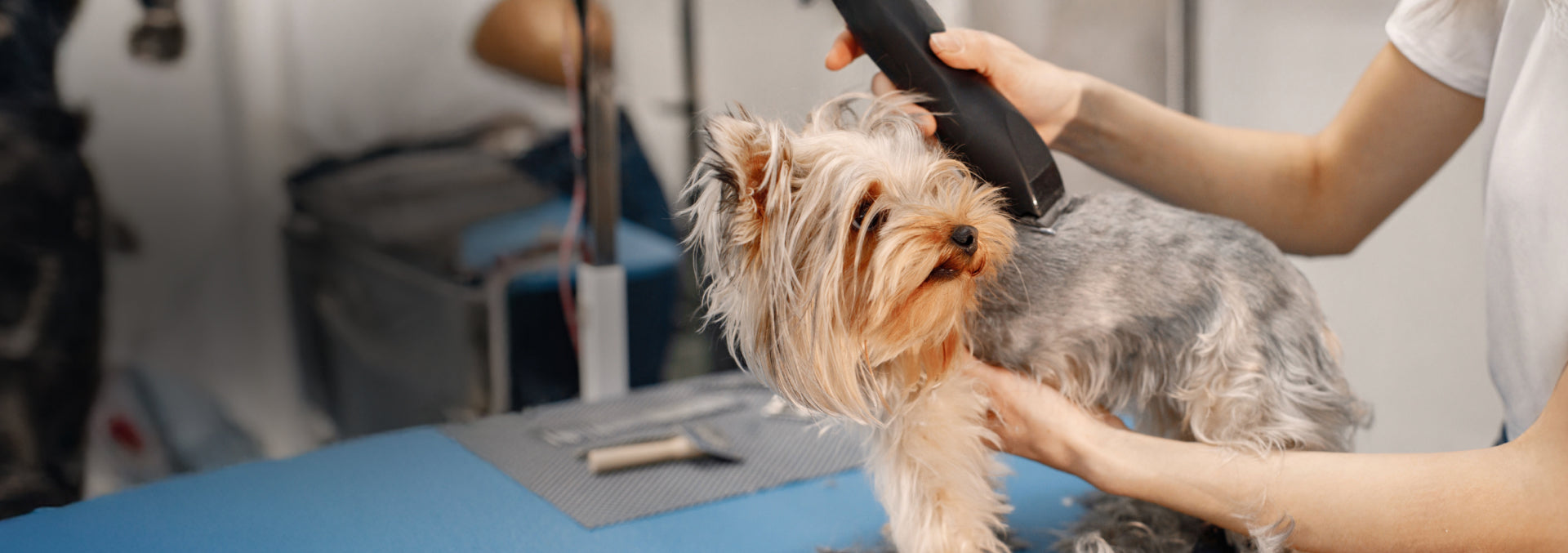 Happy pets start with happy grooming